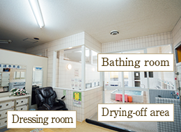 Dressing room・Drying-off area・Bathing room